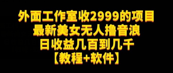 外面工作室收2999的项目最新美女无人撸音浪日收益几百到几千【教程+软件】（仅揭秘） ...