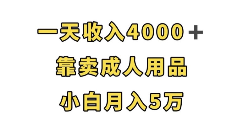 轻松月入5万，靠卖成人用品，一天收入4000+