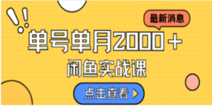 咸鱼虚拟资料新模式，月入2w＋，可批量复制，单号一天50-60没问题 多号多撸 ...