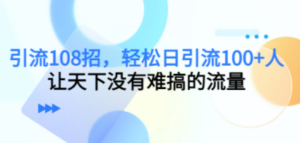 引流108招，轻松日引流100+人，让天下没有难搞的流量【更新】