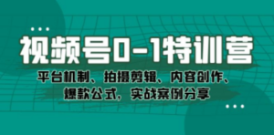 视频号0-1特训营：平台机制、拍摄剪辑、内容创作、爆款公式，实战案例分享 ...