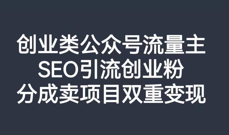 公众号创业SEO引流玩法，打造高质量流量池，双重变现项目！