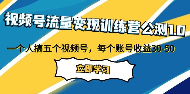 视频号流量变现公测1.0：走进你的小副业，一人掌握五个视频号，每个账号收益30-50 ...