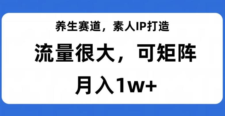 养生赛道IP打造，流量巨大，教你月入1W+【完整揭秘】