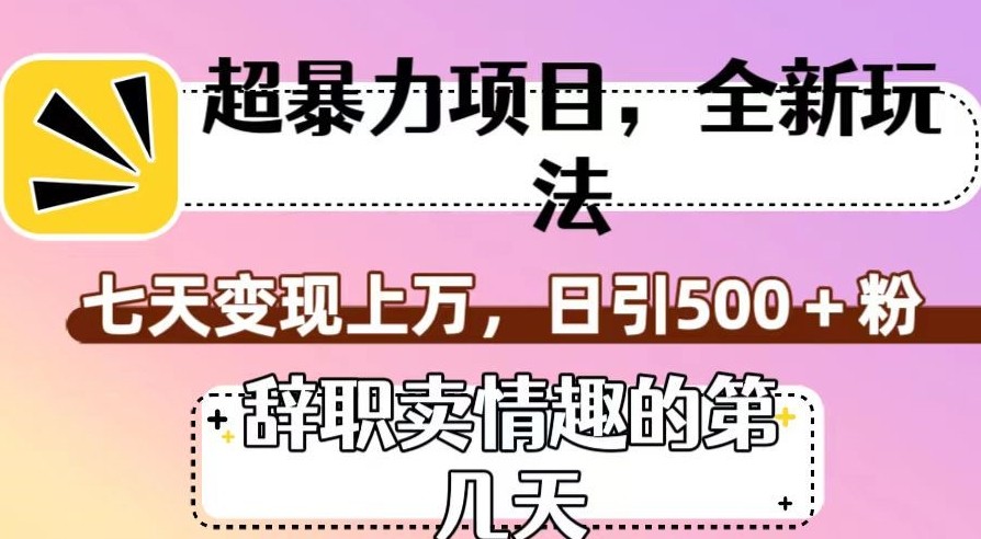 超暴利项目，全新玩法（辞职卖情趣的第几天），七天变现上万，日引500+粉【揭秘】 ... ...