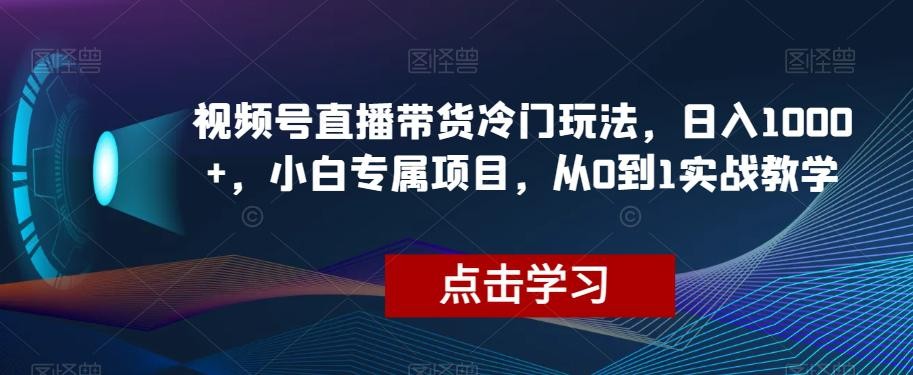 视频号直播带货冷门玩法，日入1000+，小白专属项目，从0到1实战教学【揭秘】 ...