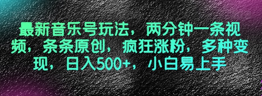 最新音乐号玩法，两分钟一条视频，条条原创，疯狂涨粉，多种变现，日入500+，小白易上手【揭秘】 ...