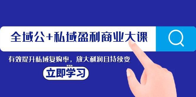 全域营销：私域盈利的商业新课，持续变现利润，提高复购率