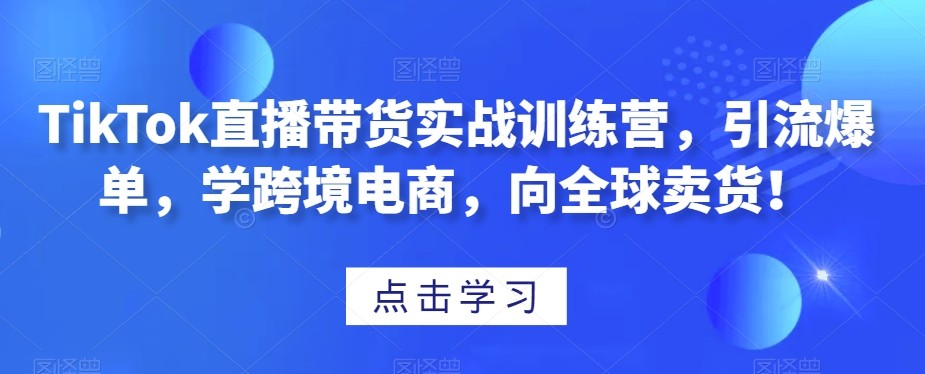 TikTok直播带货，学跨境电商，引爆全球卖货！实战训练营