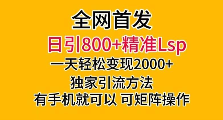 全网首发！日引800+精准老色批，一天变现2000+，独家引流方法，可矩阵操作【揭秘】 ...