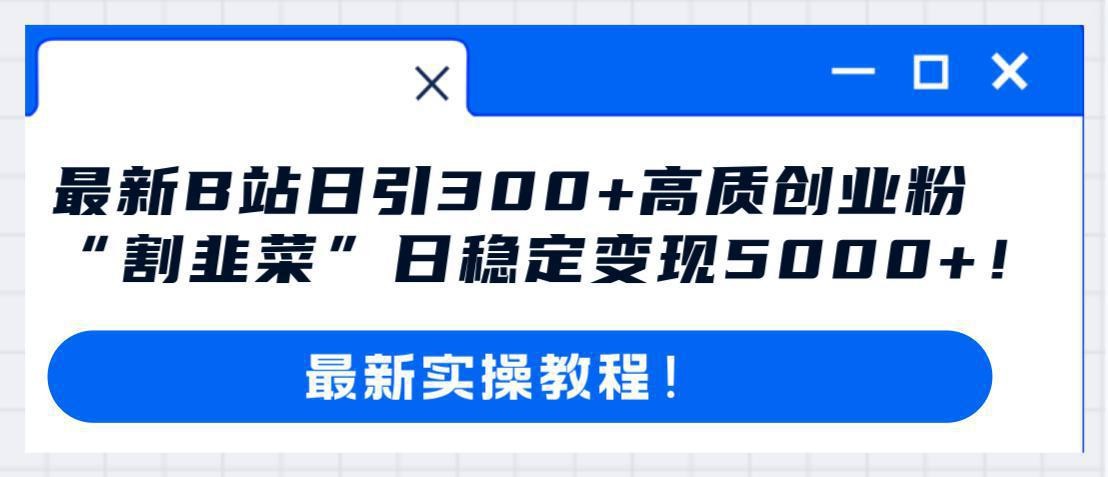 哔哩哔哩（B站）引流高质量创业粉教程：日引300+，“割韭菜”日稳定变现5000+！ ...