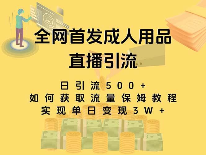 最新全网独创首发，成人用品直播引流获客暴力玩法，单日变现3w保姆级教程 ...