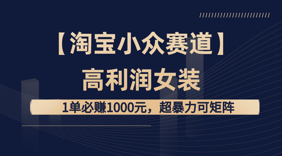 【淘宝赚钱攻略】高利润女装：1单必赚1000元，打造超暴力矩阵店铺！