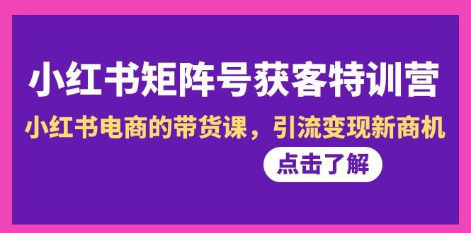 小红书矩阵号获客营-第10期，小红书电商的带货特训课，引流变现新商机