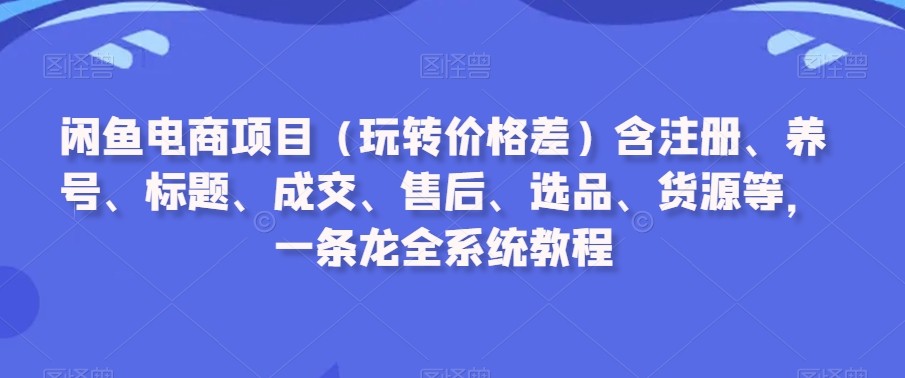 闲鱼电商项目（玩转价格差）含注册、养号、标题、成交、售后、选品、货源等，一条龙全系统教程 ...