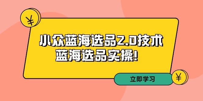 拼多多开店培训第33期：小众蓝海选品2.0技术-蓝海选品运营实操！