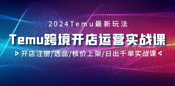 2024Temu跨境开店运营实战教程，开店注册/选品/核价上架/日出千单实战课