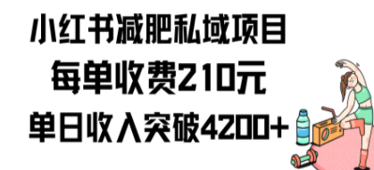 小红书减肥私域项目每单收费210元单日成交20单，最高日入4200+