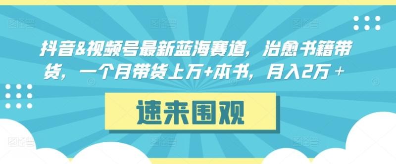 抖音&视频号最新蓝海赛道，治愈书籍带货，一个月带货上万+本书，月入2万＋【揭秘】 ...