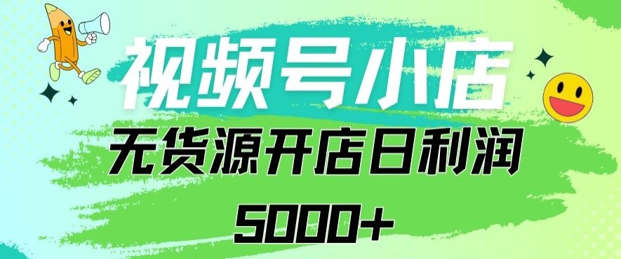 视频号无货源小店：从0到1日订单量千单以上纯利润稳稳5000+【揭秘】