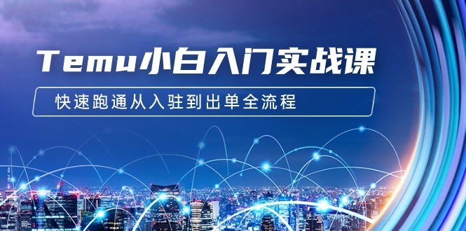 Temu小白入门实战课：跨境拼多多电商培训 快速跑通从入驻到出单全流程-12节 ...