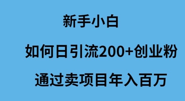 新手小白怎么样日引流200+创业粉通过卖项目年入百万