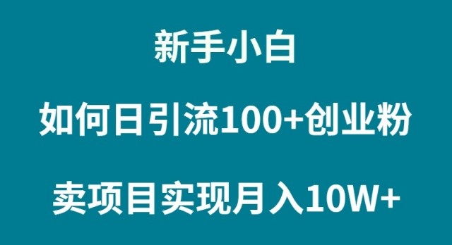 普通人小白如何通过卖项目实现月入10W+