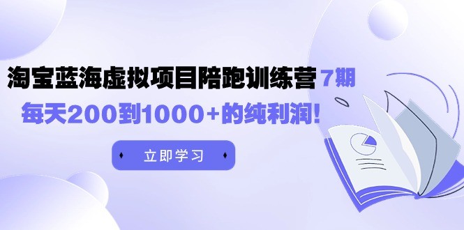 《淘宝蓝海虚拟项目陪跑训练营7期》每天200到1000+的纯利润