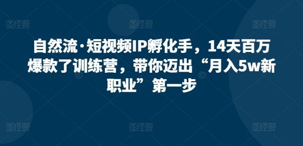 自然流·短视频IP孵化训练营，14天打造百万爆款，带你迈出“月入5W新职业”第一步 ...