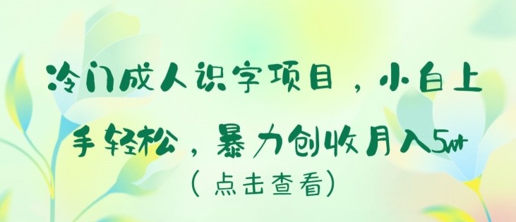 冷门项目成人识字，新手小白上手轻松，暴力创收月入5W+【揭秘】