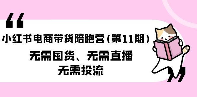 小红书电商带货陪跑营(第11期)无需囤货、无需直播、无需投流（送往期10套） ...