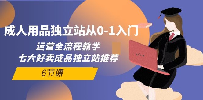 成人用品独立网站从0-1入门：运营全流程教学，七大好卖成品独立站推荐-6节课 ...