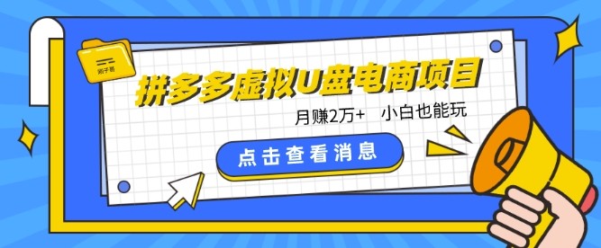 拼多多虚拟U盘电商：月赚2万+，红利项目，普通小白也能玩