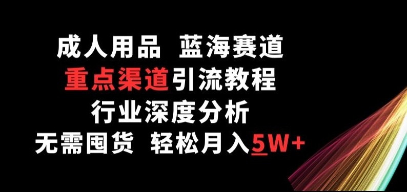 蓝海成人用品赛道，重点渠道引流教程，行业深度分析，无需囤货，轻松月入5W+【揭秘】 ...