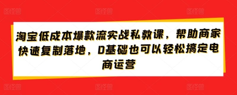 淘宝低成本爆款流实战攻略，低成本爆款打造与流量获取，0基础也可以轻松搞定电商运营 ...