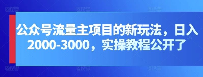 《公众号流量主项目，打造公众号盈利新途径：我的日入2000-3000元实操攻略》 ...