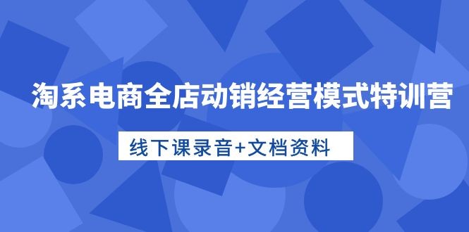 淘系电商全店动销经营模式特训营，线下课录音 文档资料