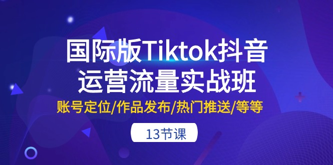 《国际版 Tiktok 抖音运营的流量密码》