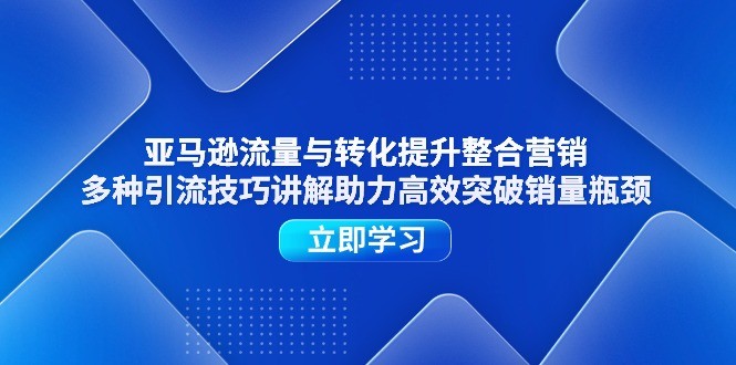 亚马逊整合营销秘籍：突破流量与转化困境