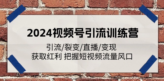 2024 视频号引流特训：抢占流量红利秘籍