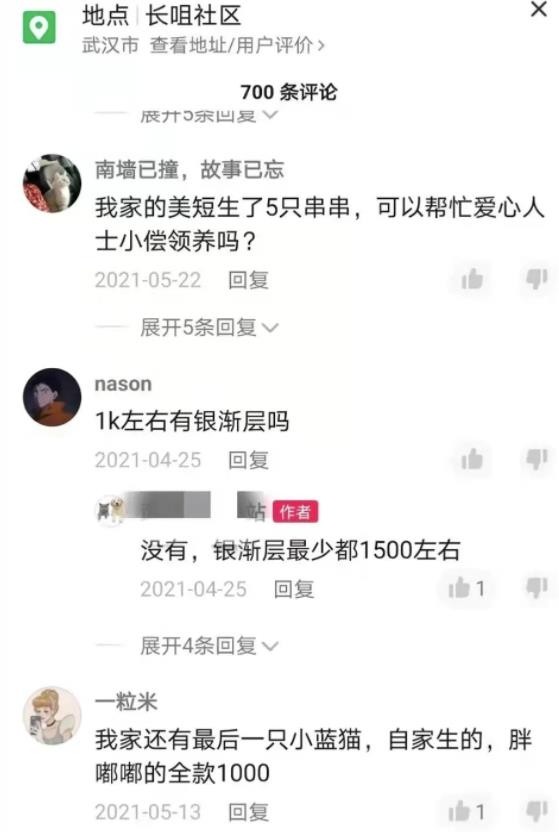 不用引流，一天赚1000+，很简单的闷声搞钱路子