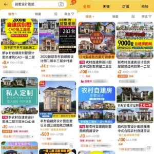 图片[2]-农村自建房蓝海项目思绪，使用别墅图纸设计去变现，冷门刚需项目分享给你-阿兴说钱