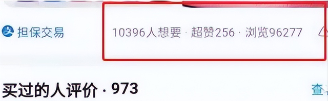 闲鱼冷门类目日赚200+的小项目，看完即可操纵