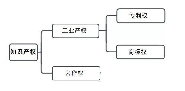 用知识产权保护项目，构建产物的护城河