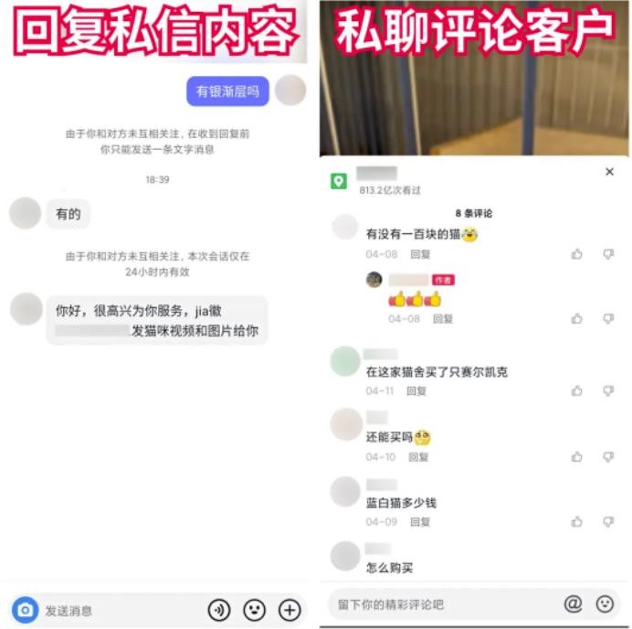 抖音快手卖猫狗，0门槛，月销30万